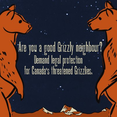 Are you a good Grizzly neighbour?